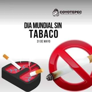 I SinTabaco El tabaco es uno de los mayores contaminantes jpg