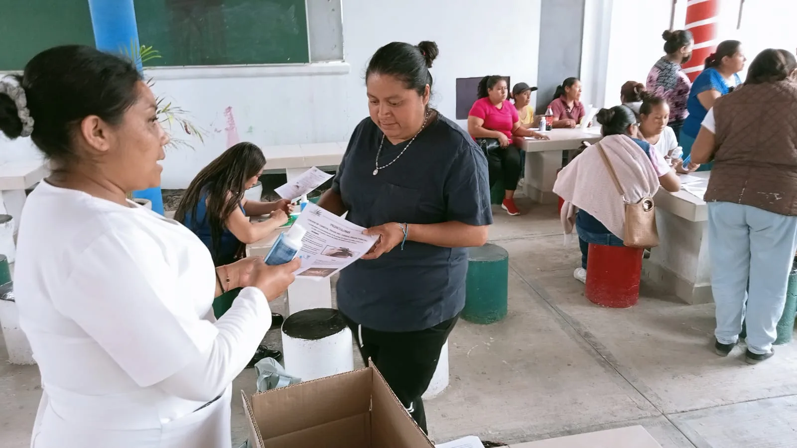 La Pediculosis es una afeccion en la que pequenos insectos jpg