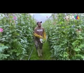 Las mejores flores son producidas orgullosamente en Villa Guerrero