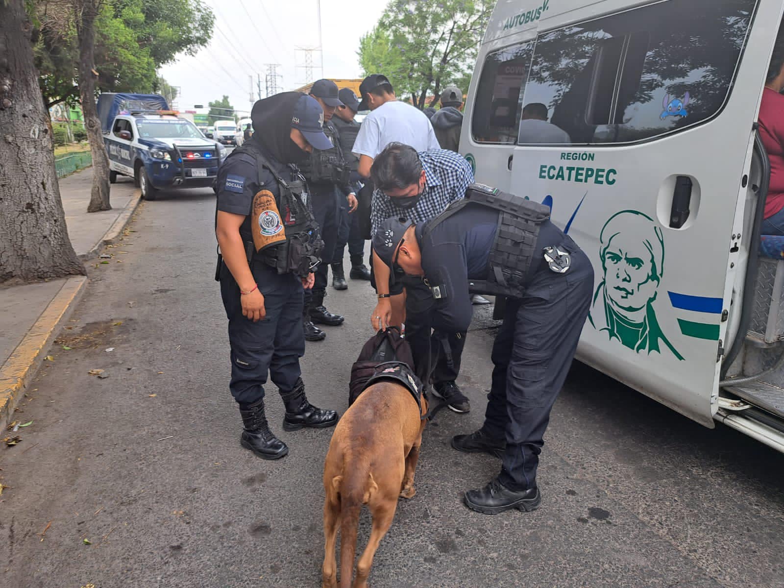 UsuarioSeguro es implementado en diversos puntos del territorio municipal para