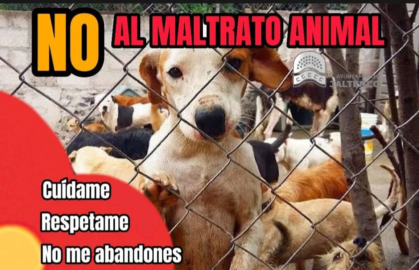 ¡PONGAMOS FIN AL MALTRATO ANIMAL jpg