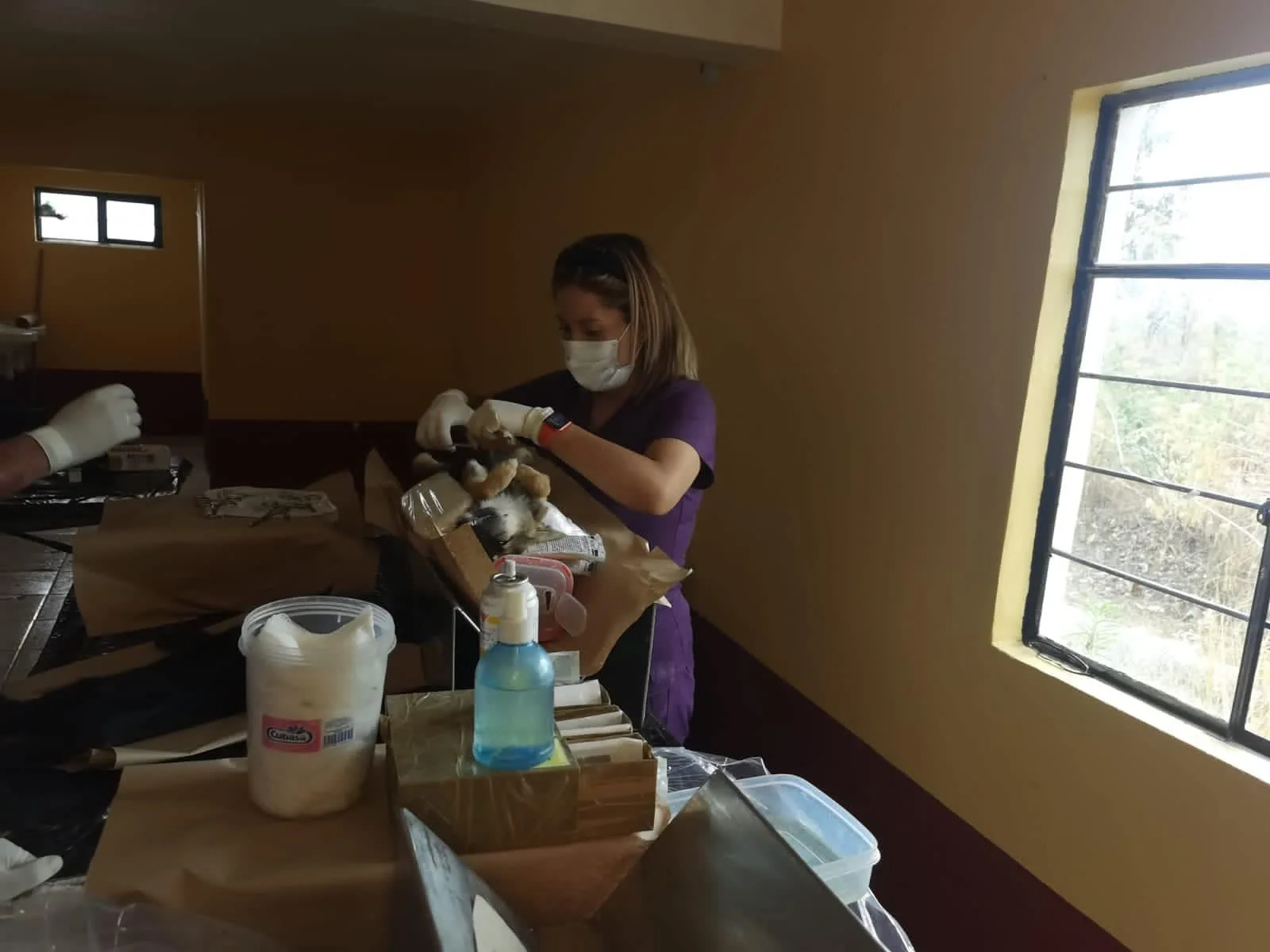 ¡Una jornada de esterilizacion mas jpg