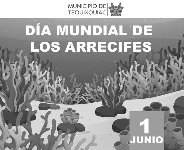 1685638122 El 1 de junio se celebra el DiaMundialDeLosArrecifes una fecha jpg