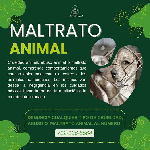 1685658108 El cuidado y respeto a los animales es una ley jpg