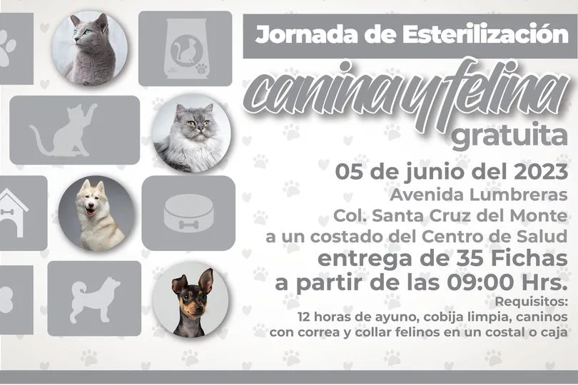 1685707309 Jornada de esterilizacion canina y felina jpg