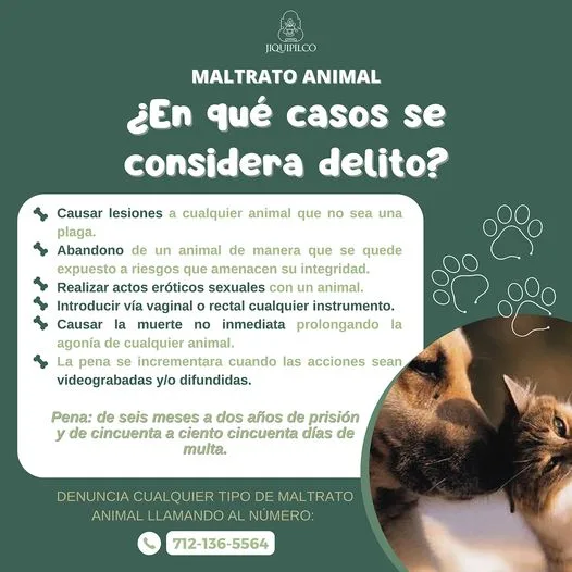 1685744861 El maltrato animal es un delito jpg