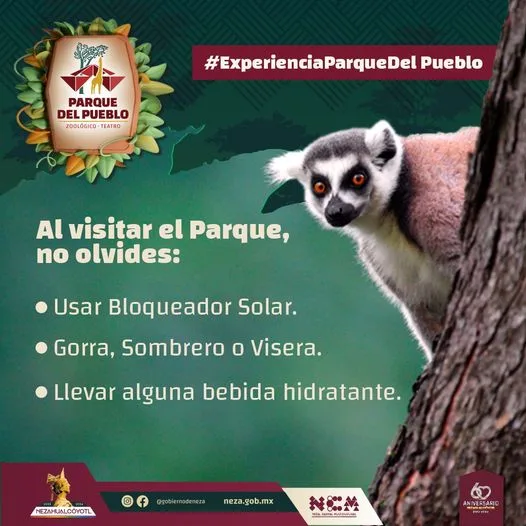 1685902902 La ExperienciaParqueDelPueblo se vive mejor siguiendo estas recomendaciones jpg