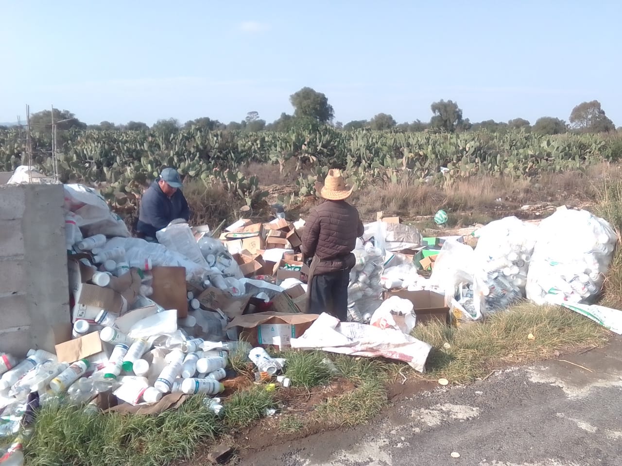 1685978917 555 Pensando en el medio ambiente se ha estado llevando