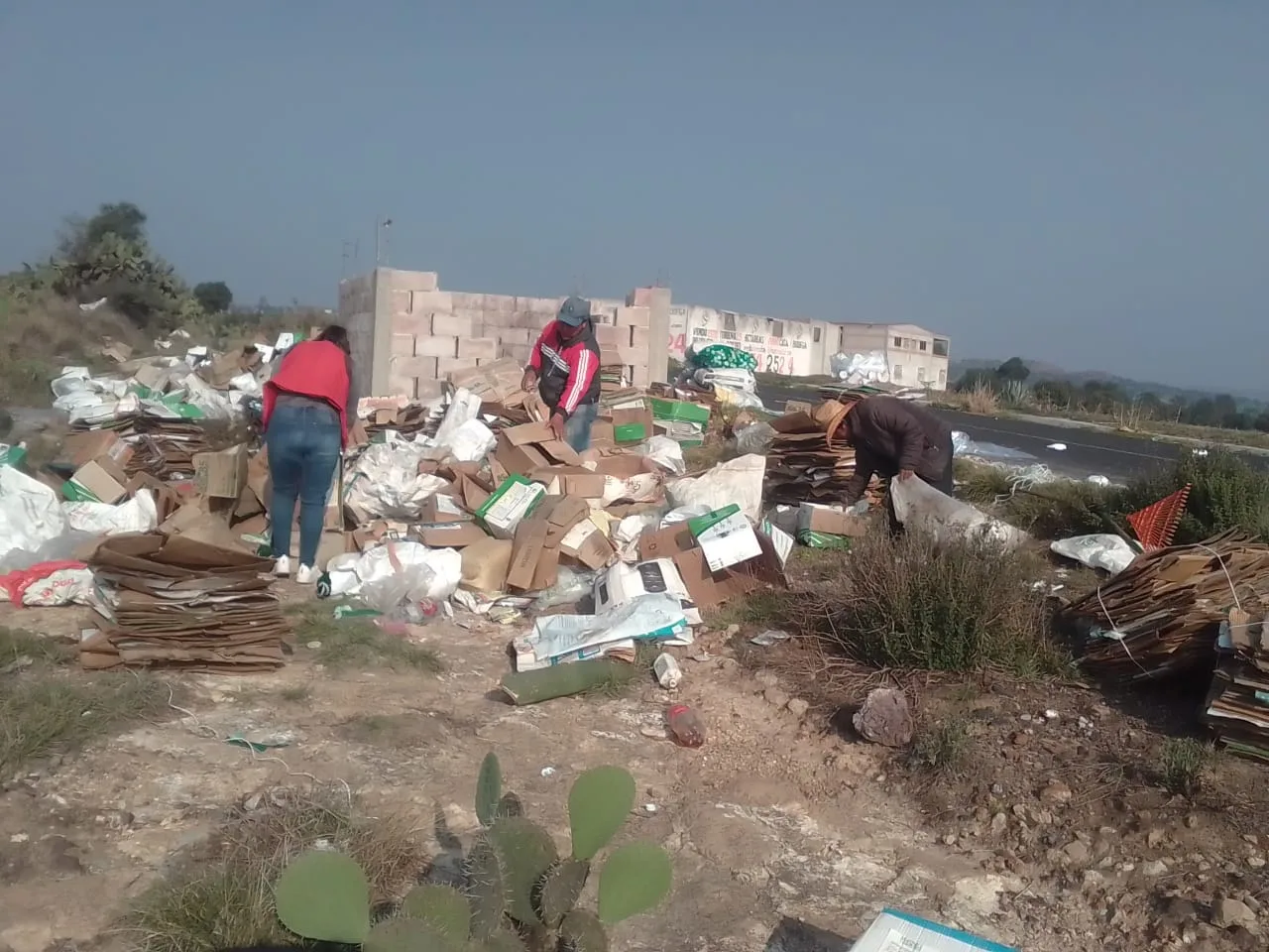 1685978959 Pensando en el medio ambiente se ha estado llevando jpg