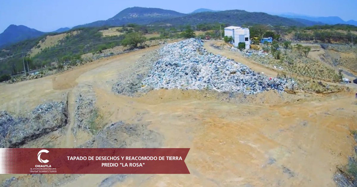 1685979832 407 HOY5deJunio Dia Mundial del Medio Ambiente te ponemos al tanto