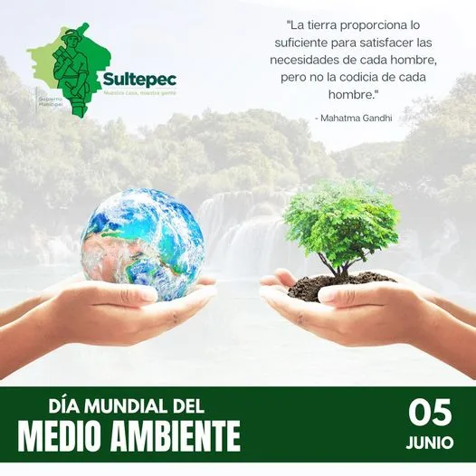 1685984446 5 de junio Dia Mundial del Medio Ambiente jpg