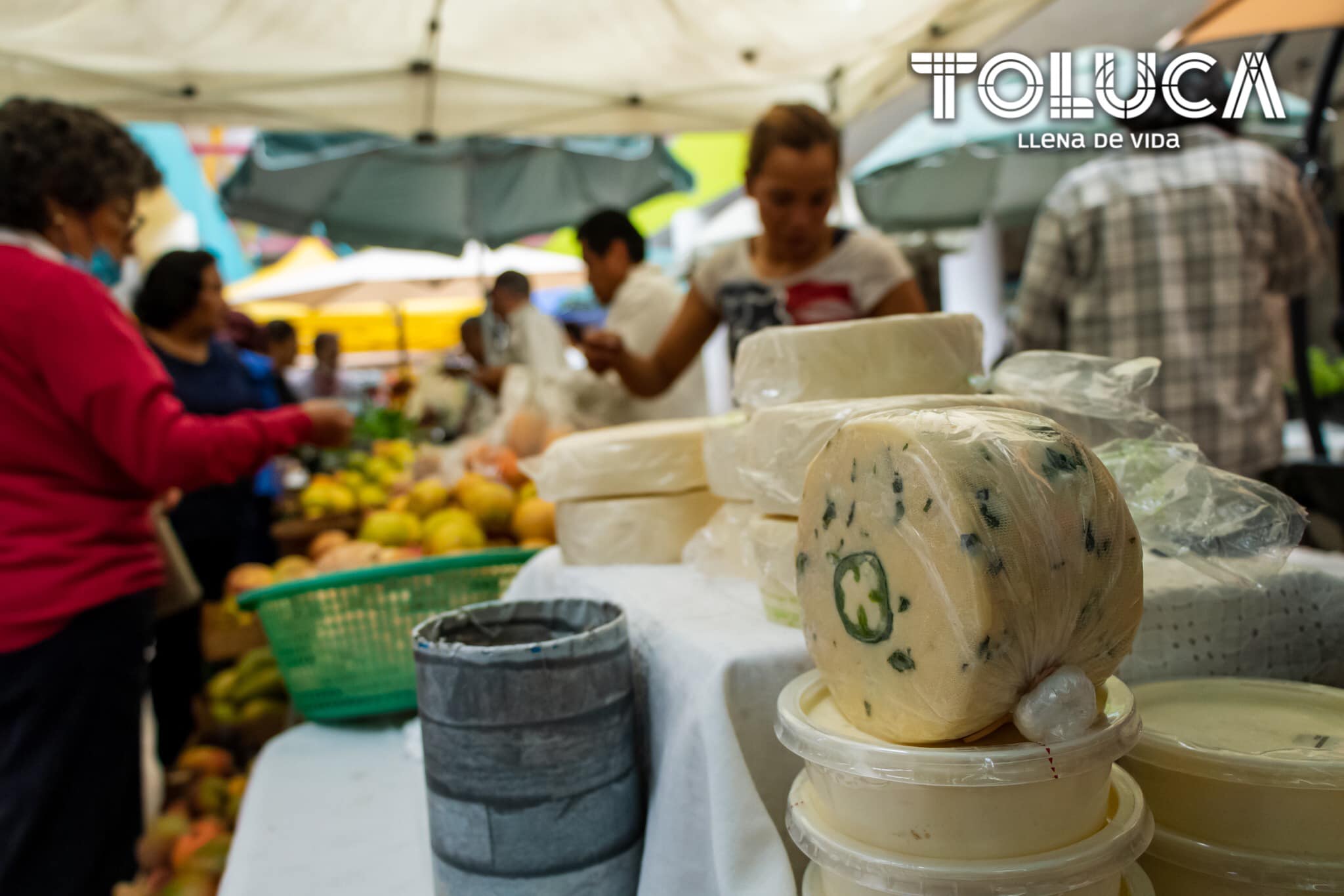 1685995662 341 ¡Acompananos al HuertoSustentable del DIF Toluca Te esperamos en la