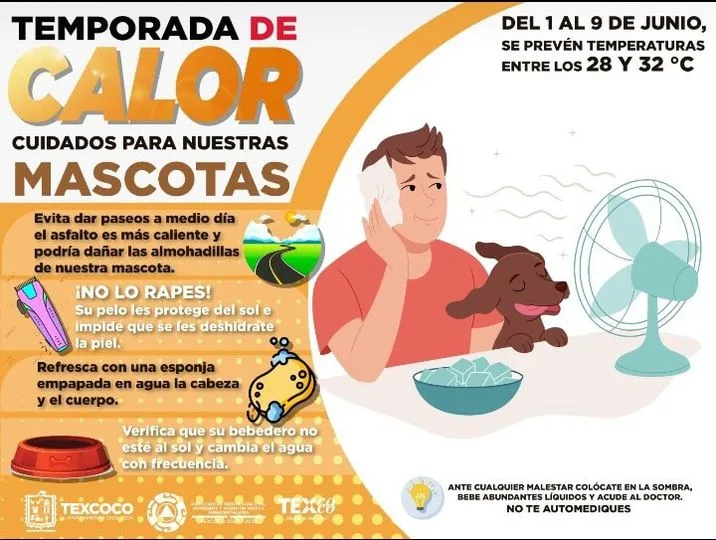 1685995849 En esta temporada de calor te invitamos a seguir estas jpg