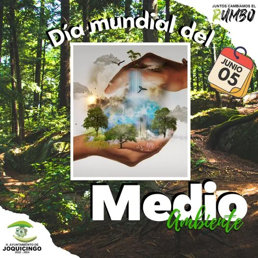 1685997219 05 de junio DiaMundialDelMedioAmbiente La ONU designo el 5 de jpg