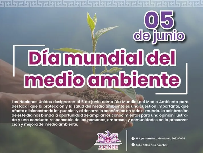 1686006166 Las Naciones Unidas designaron el 5 de junio como el jpg