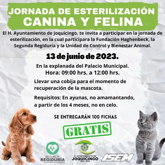 1686055542 Jornada de esterilizacion canina y felina El H Ayuntamiento de jpg