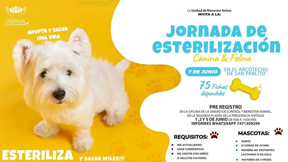 1686063640 JORNADA DE ESTERILIZACION 2023 jpg