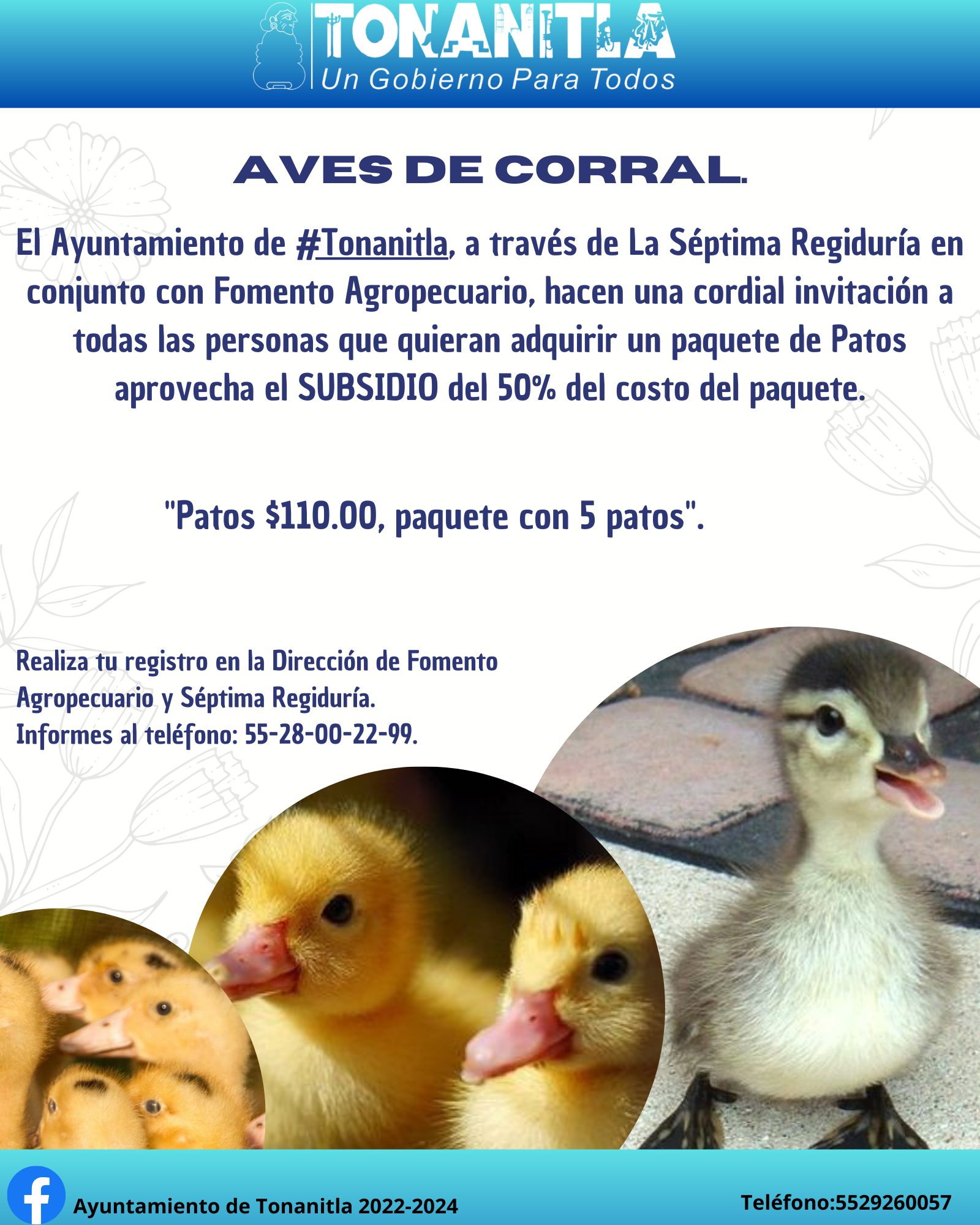 1686088221 50 AVES DE CORRAL