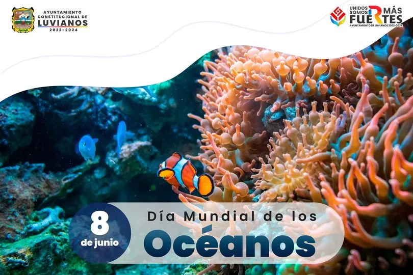 1686163359 8 de junio Dia Mundial de Los Oceanos jpg