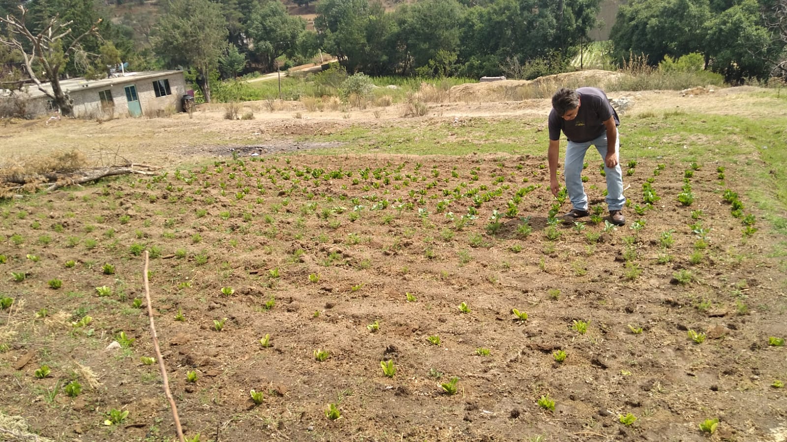 1686164965 586 El Ayuntamiento de Texcoco continua los trabajos de huertos familiares