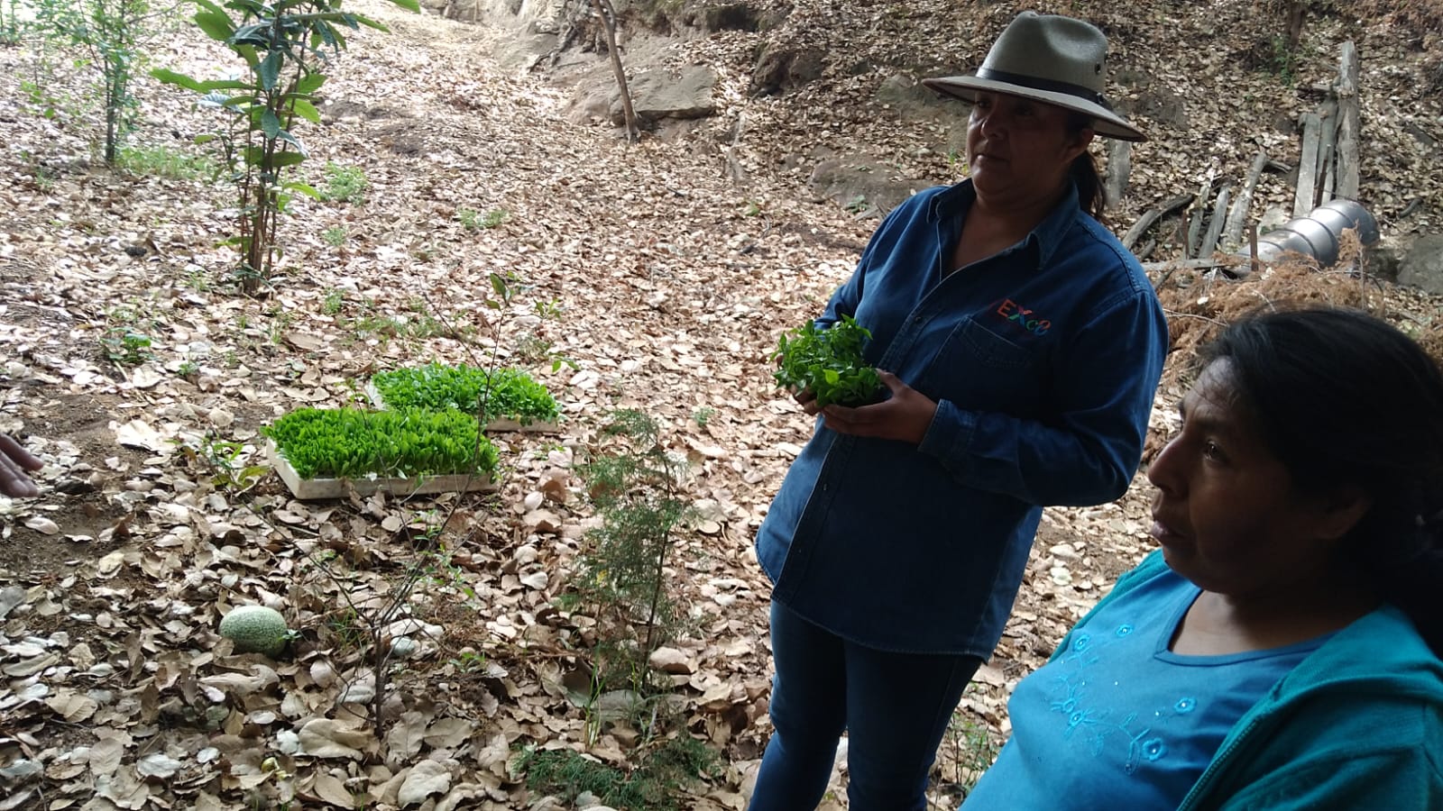 1686164970 911 El Ayuntamiento de Texcoco continua los trabajos de huertos familiares