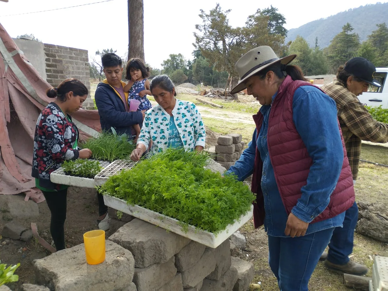 1686165014 El Ayuntamiento de Texcoco continua los trabajos de huertos familiares jpg