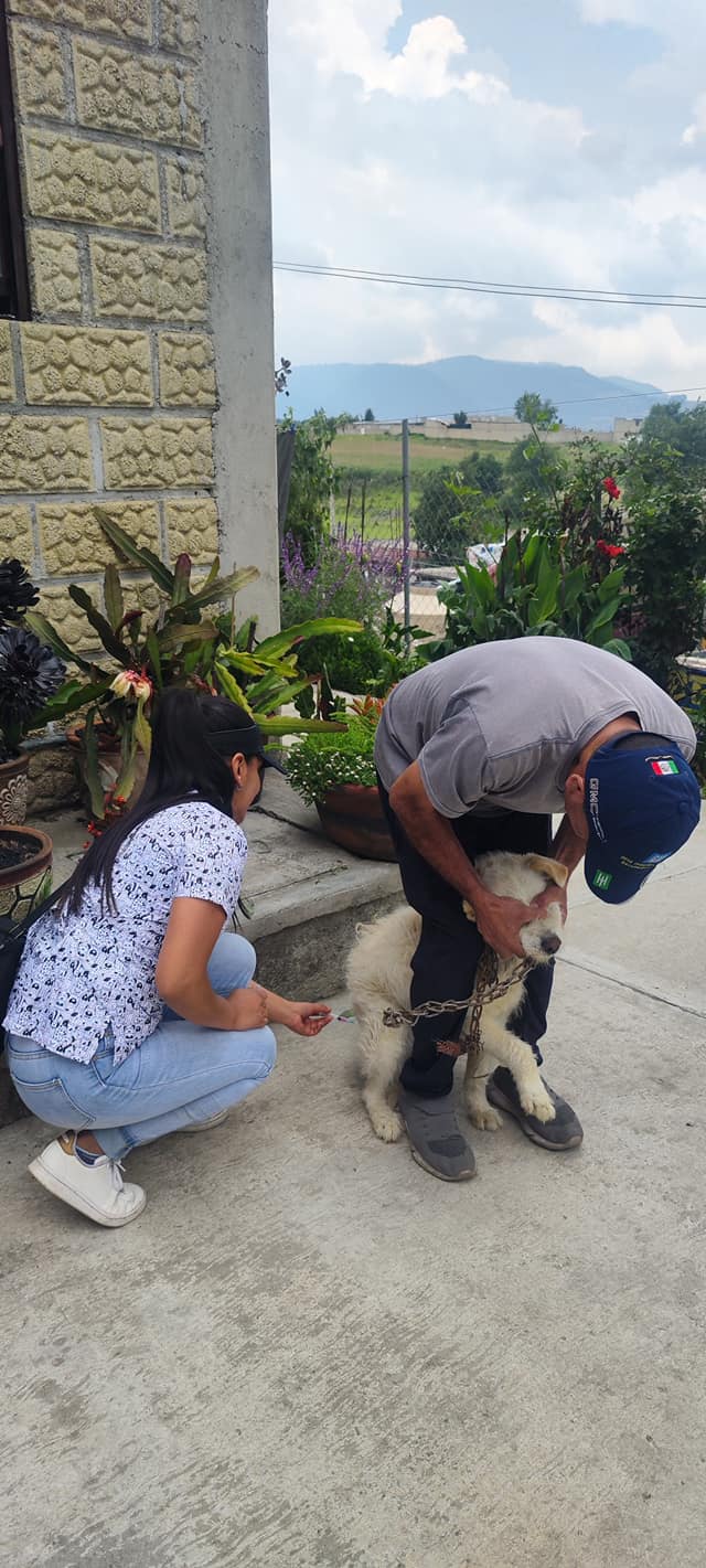 1686177916 139 El dia de hoy se realizo una vacunacion antirrabica canina