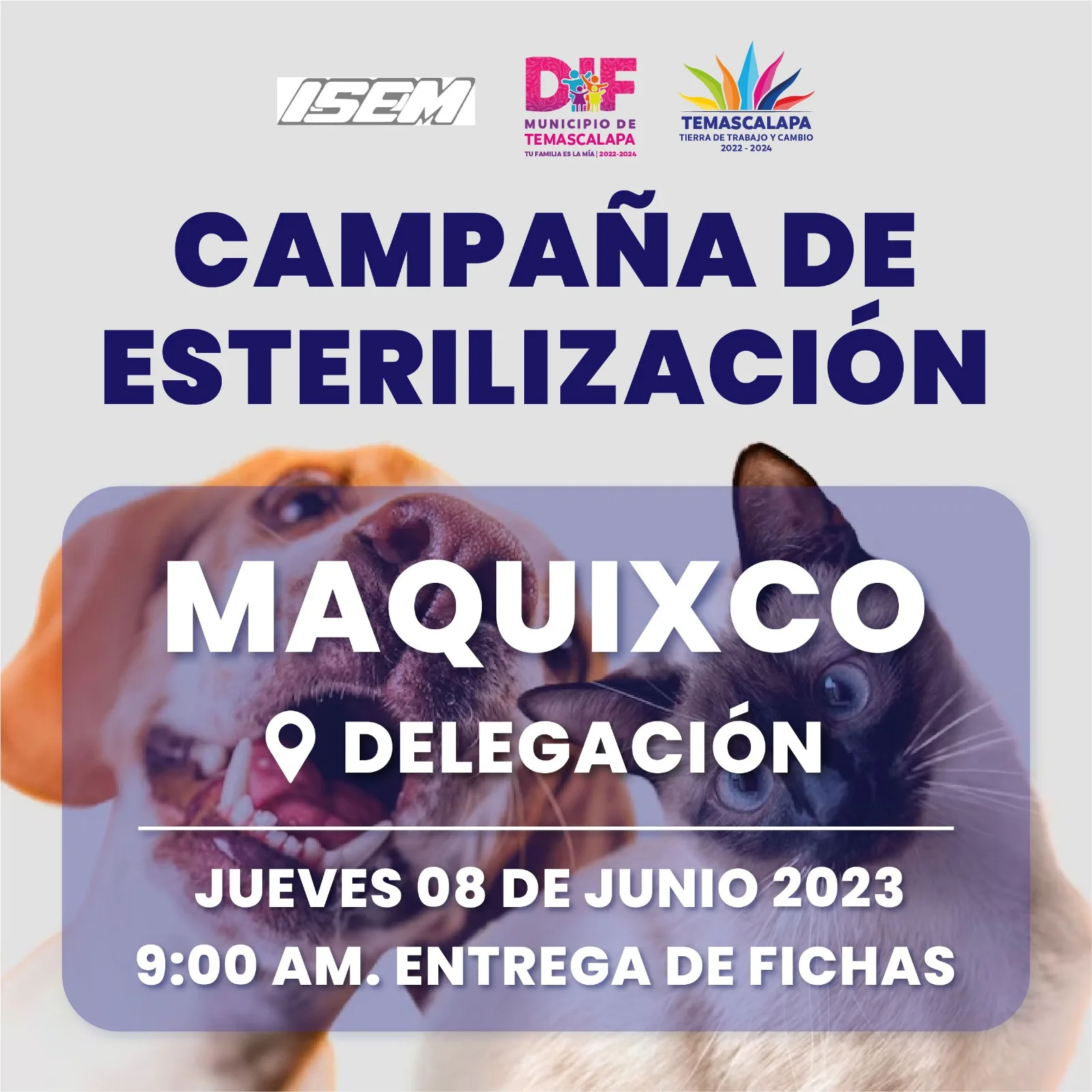 1686178196 Este jueves 08 de junio el personal de DIF Temascalapa jpg