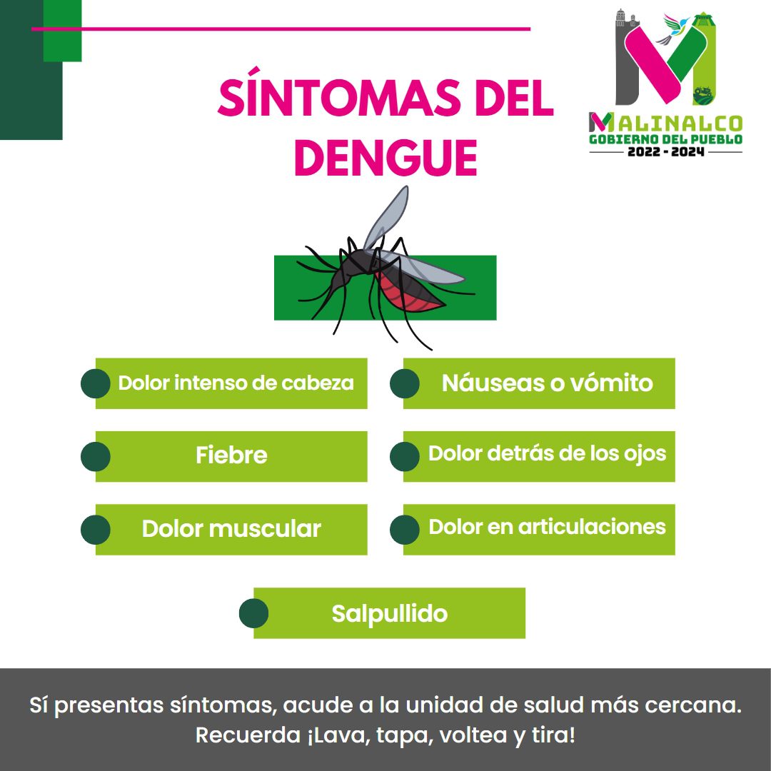 1686179060 454 El dengue es una enfermedad transmitida al humano por la