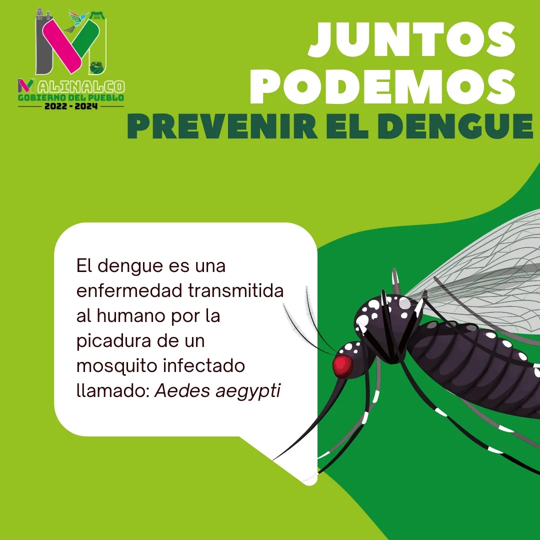 1686179103 El dengue es una enfermedad transmitida al humano por la jpg