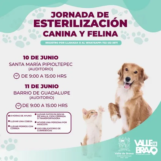 1686243520 Participa este fin de semana en nuestras Jornadas de Esterilizacion jpg