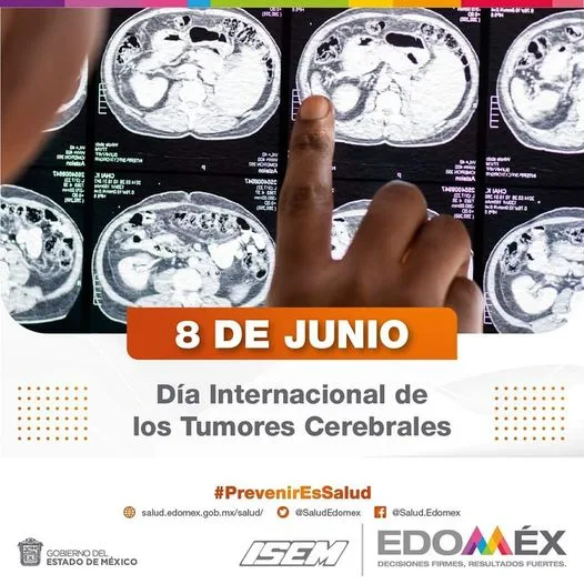 1686261830 El 8 de junio se conmemora el Dia Internacional de jpg