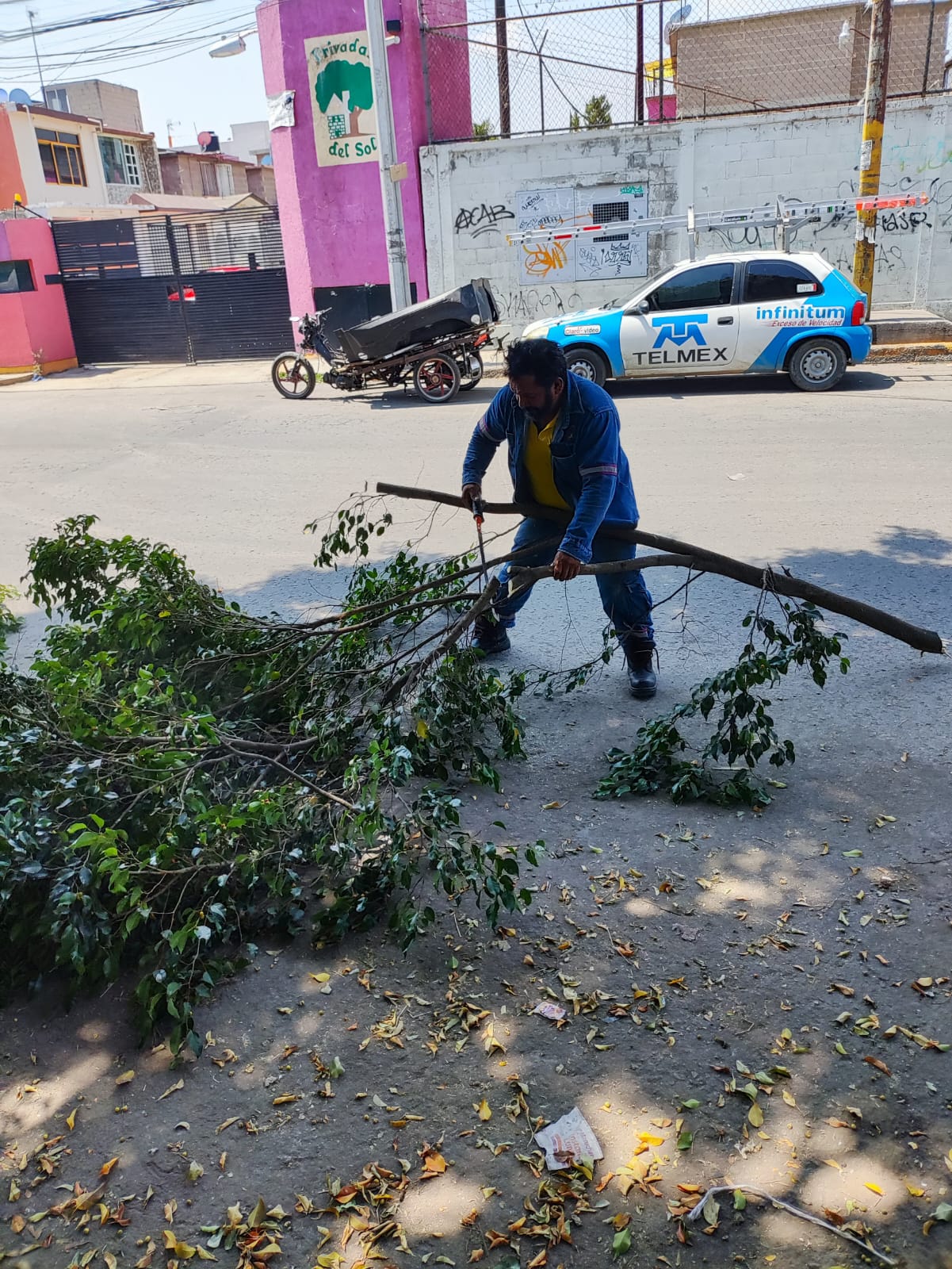 1686264143 301 El Gobierno Municipal de Jaltenco que preside la C Rosario