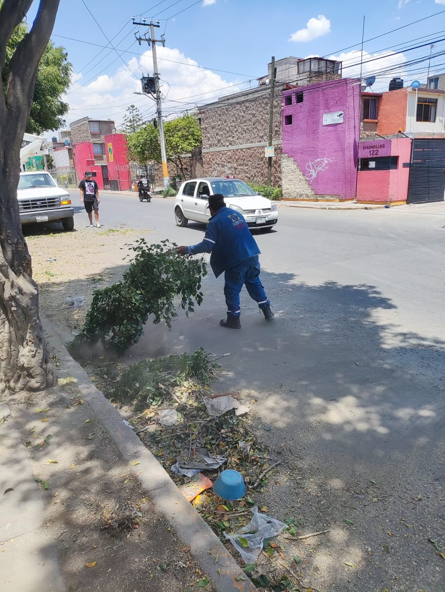 1686264150 244 El Gobierno Municipal de Jaltenco que preside la C Rosario