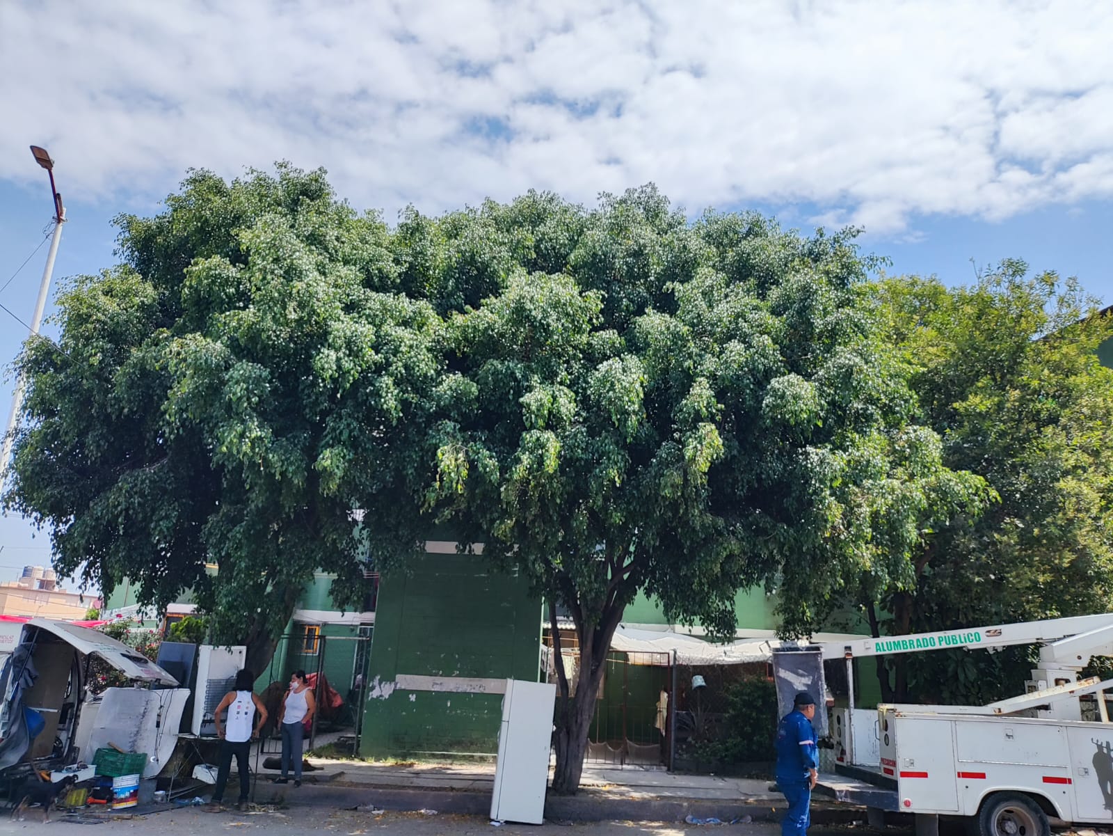 1686264157 599 El Gobierno Municipal de Jaltenco que preside la C Rosario