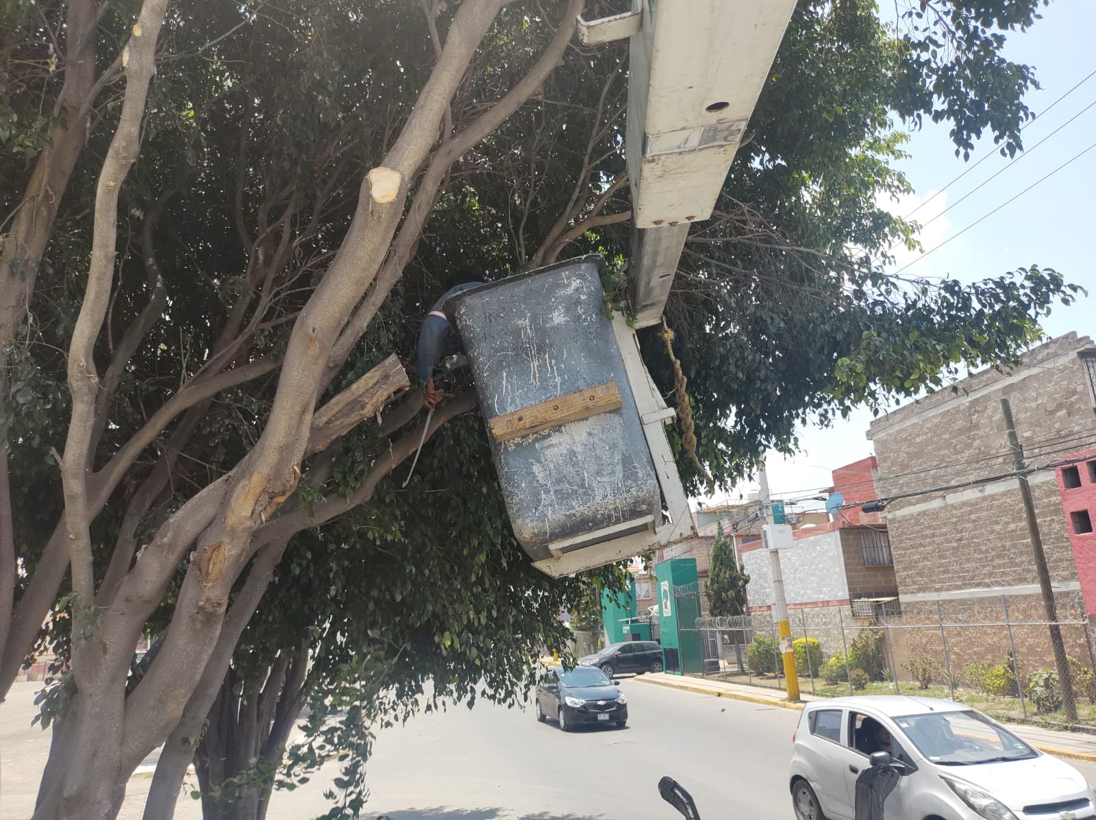 1686264166 16 El Gobierno Municipal de Jaltenco que preside la C Rosario