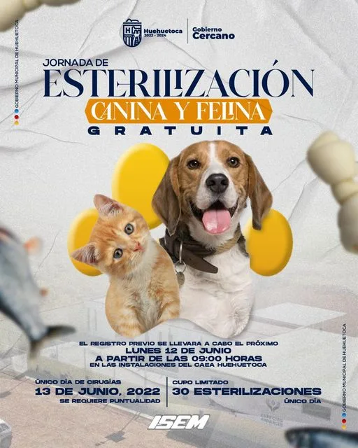 1686331603 Jornada de esterilizacion canina y felina El dia 13 jpg