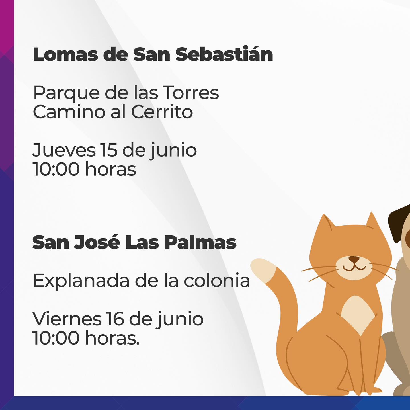 1686335908 900 ¡Cuidemos a los animalitos Sumate a los foros de opinion