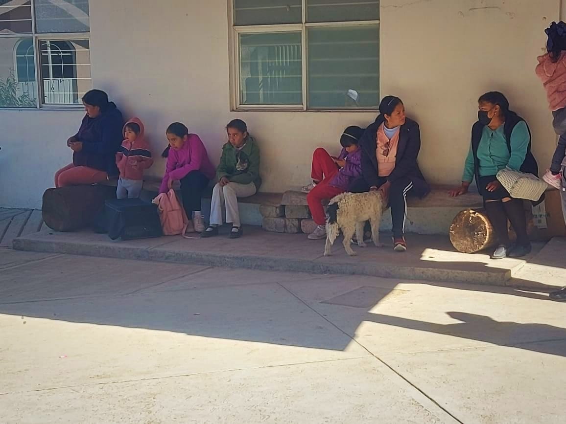 1686345698 888 ¡Acercamos una campana de esterilizacion canina y felina a San