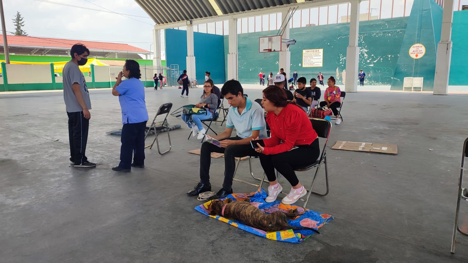 1686399089 759 Llevamos a cabo la jornada de esterilizacion canina y felina