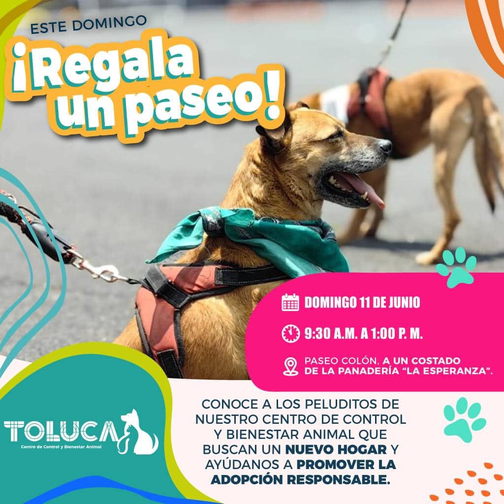 1686412364 729 ¡Nos espera un gran fin de semana en Toluca