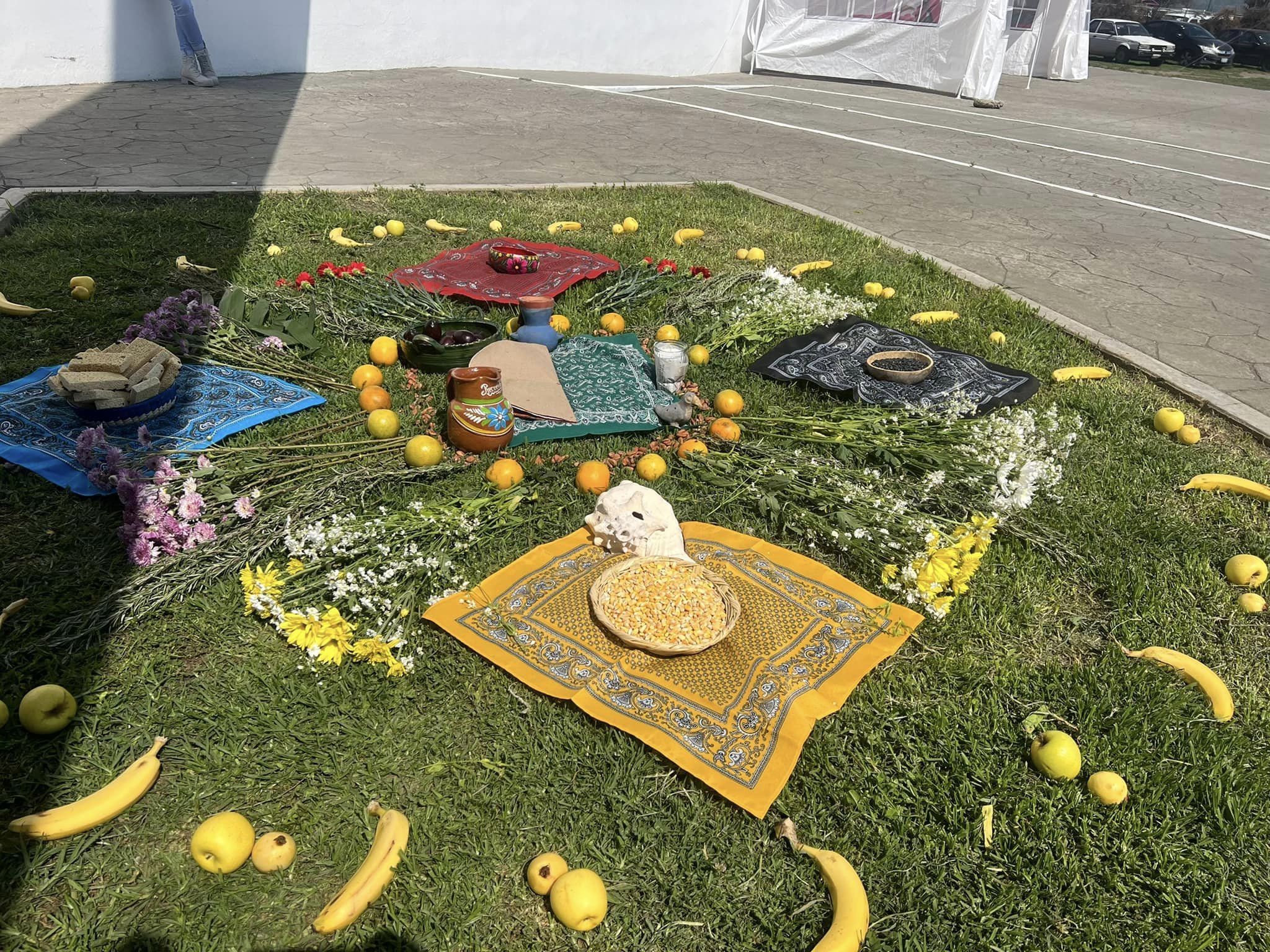 1686419361 618 Estamos por dar inicio al Festival Del Medio Ambiente te