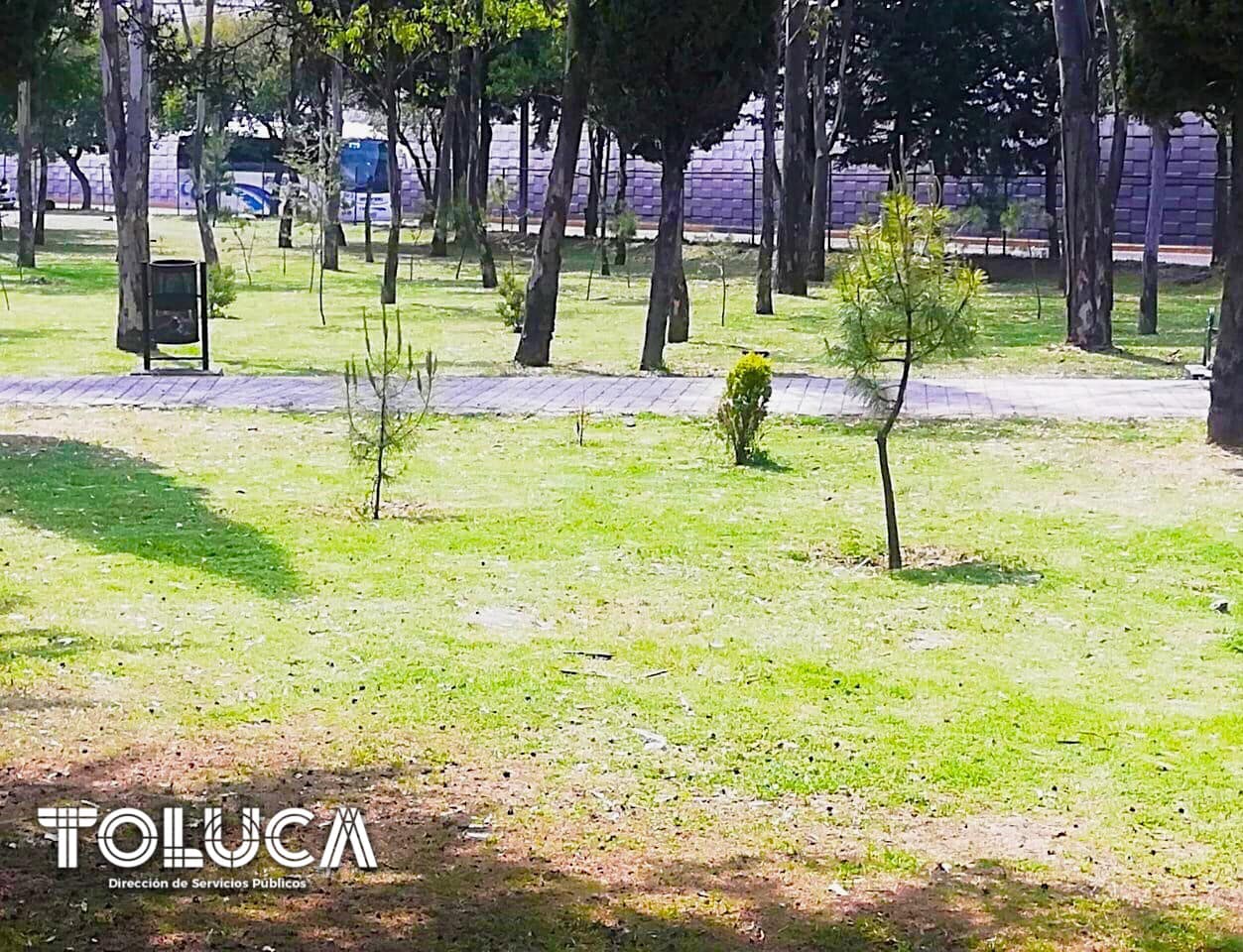 1686427403 891 ¡Queremos que disfrutes de nuestros parques en familia El equipo