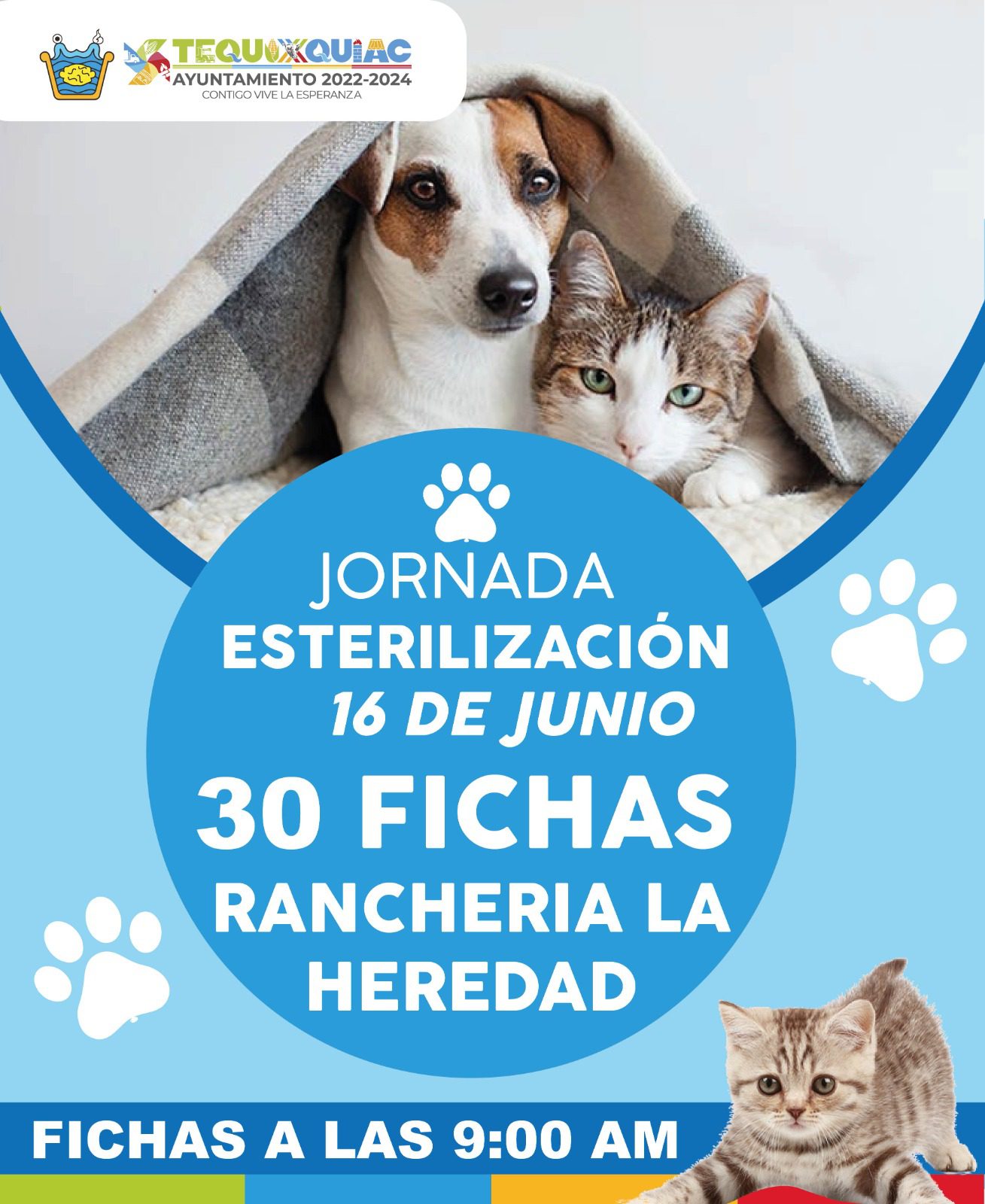 1686438501 317 Nuestras y nuestros peluditos son parte de la familia recuerda