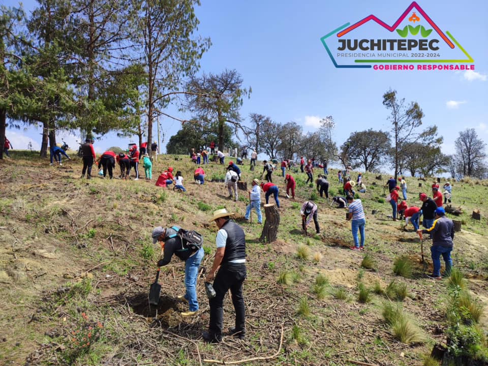 1686441204 269 JornadadeReforestacion El Gobierno Municipal presidido por la Lic Marisol