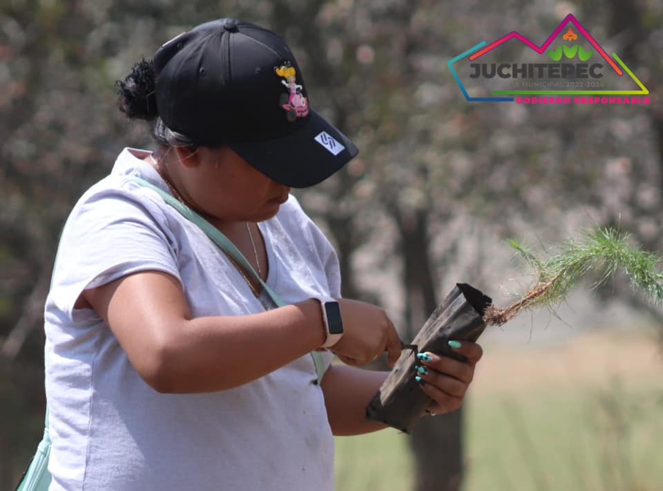 1686441215 513 JornadadeReforestacion El Gobierno Municipal presidido por la Lic Marisol