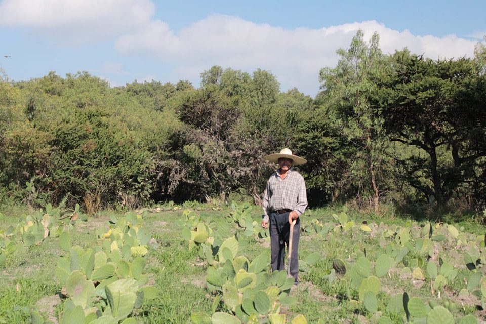 1686496585 488 Flora de Zumpango El paisaje es predominantemente arido y prevalece