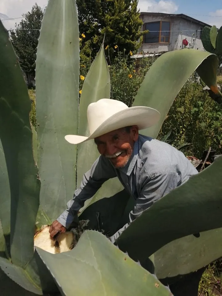 1686496632 Flora de Zumpango El paisaje es predominantemente arido y prevalece jpg