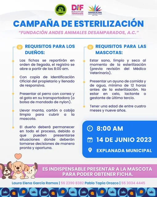 1686497860 Las campanas de esterilizacion tienen un objetivo muy importante contribuyen jpg