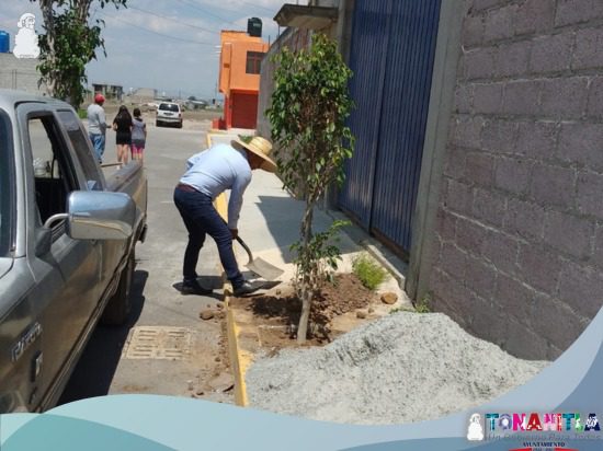 1686504856 536 El Ayuntamiento de tonantla y la Direccion de Ecologia realizaron